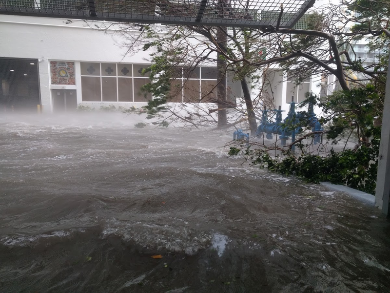 Foto: Juanje Gómez | Univision.